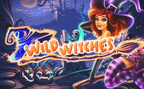 Игровой автомат Wild Witches