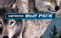 Игровой автомат Untamed Wolf Pack