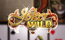 Joker Wild 1 Hand